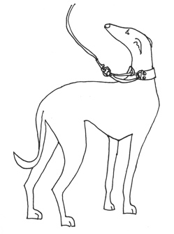 249x334 Whippet Clipart