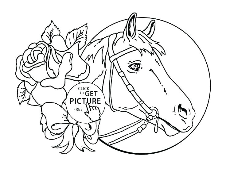 736x551 Coloring Pages Coloring Pages Of Horses And Ponies Horse Coloring