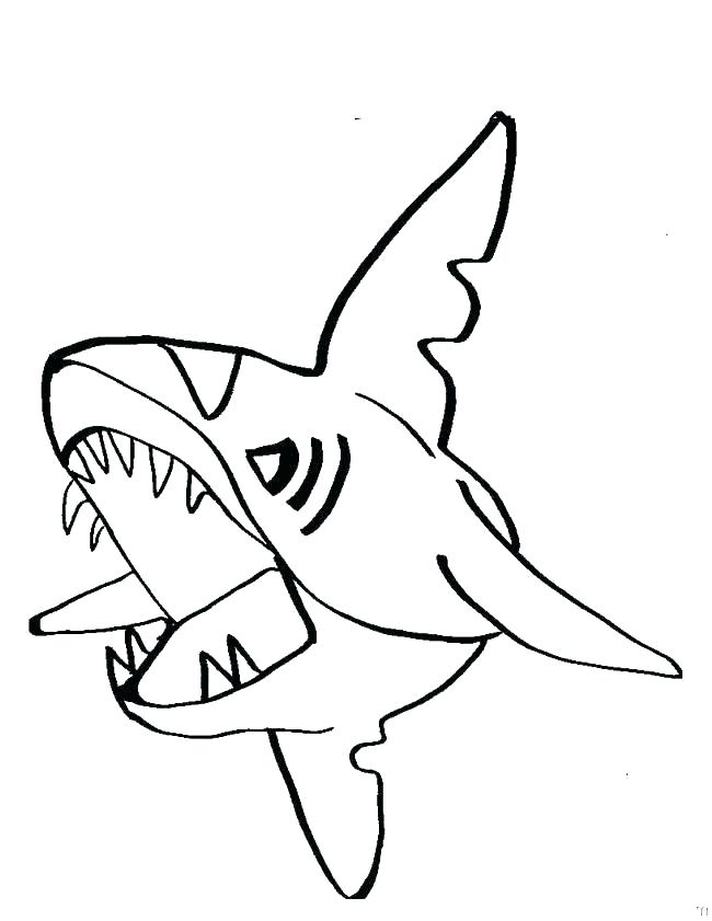 650x841 Printable Shark Coloring Pages Cute Coloring Great White Shark