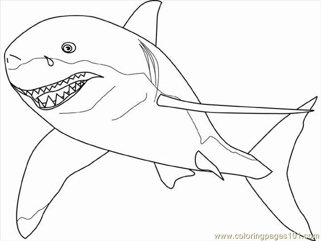 650x487 Shark Pictures To Print And Color Pages Great White Shark Fish