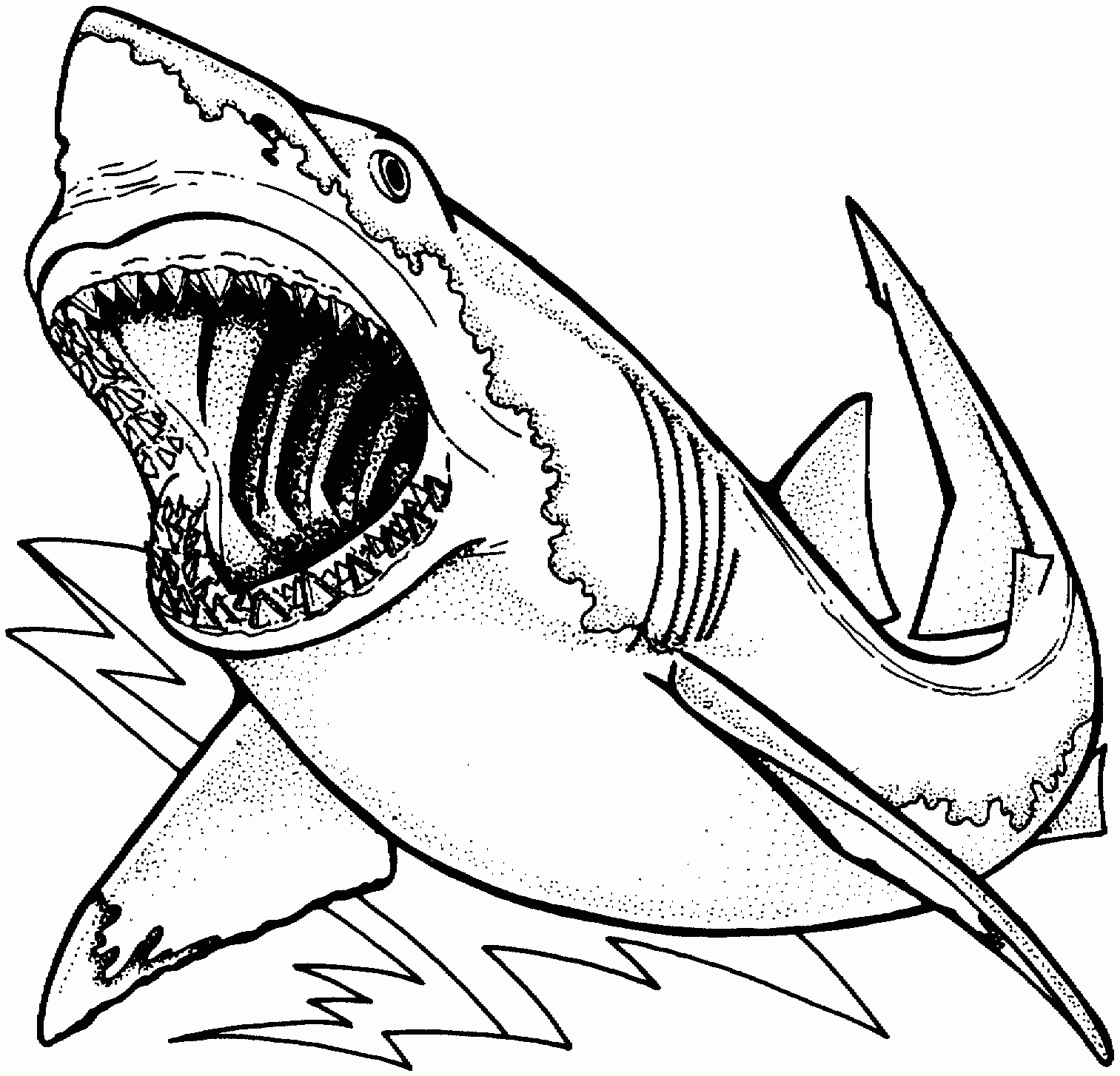 1513x1454 Great White Shark Coloring Pages With Wallpapers Mobile Great