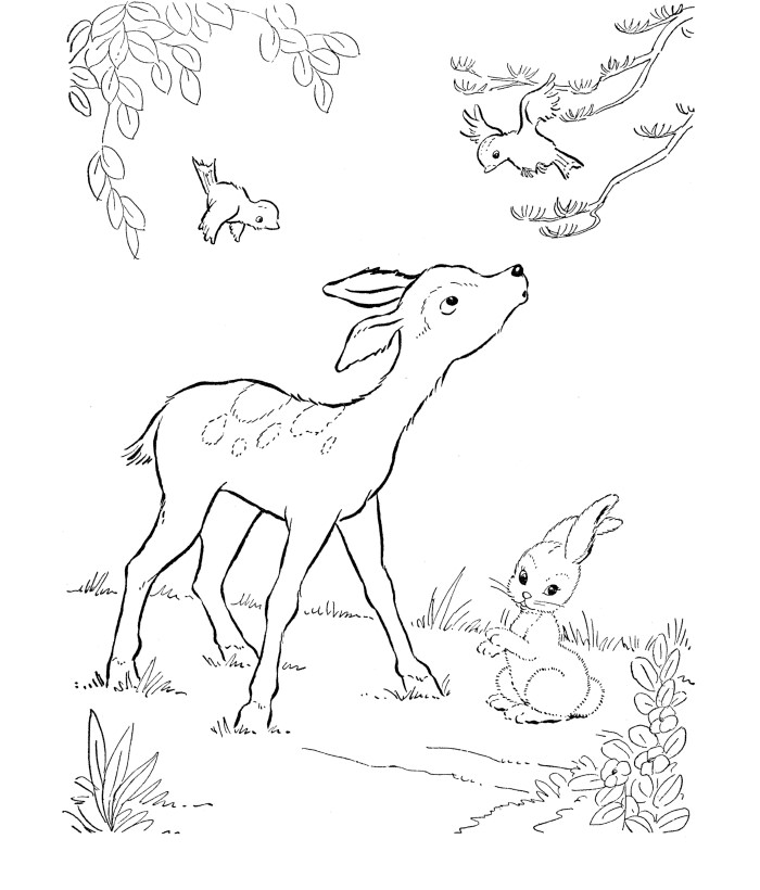 700x820 Deer Templates