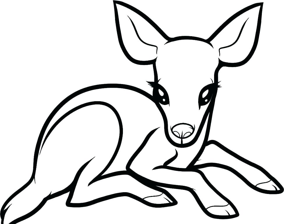 975x768 Whitetail Deer Coloring Pages