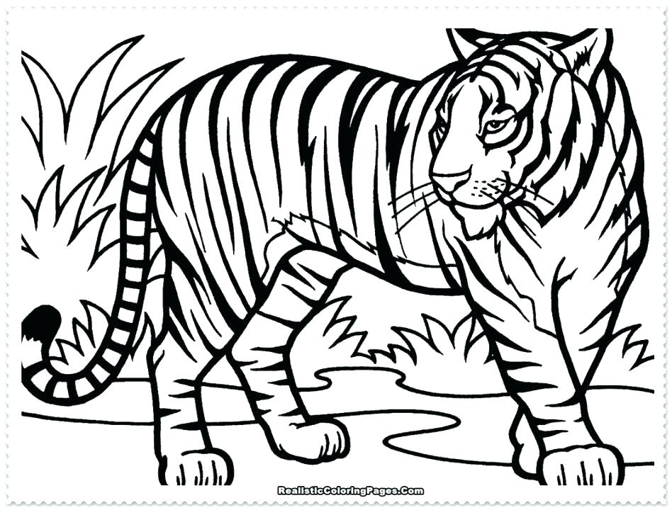 White Tiger Coloring Page