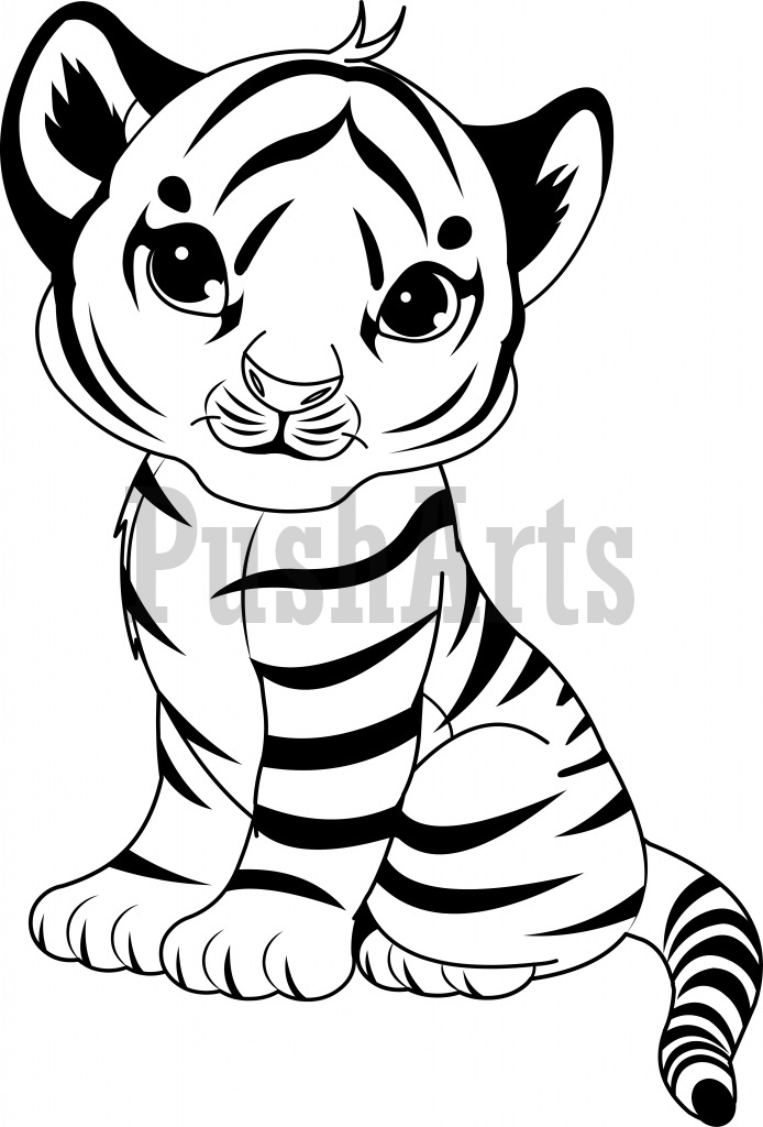 694x1024 Tigers Pictures To Color White Tiger Clipart Ba Tiger Pencil