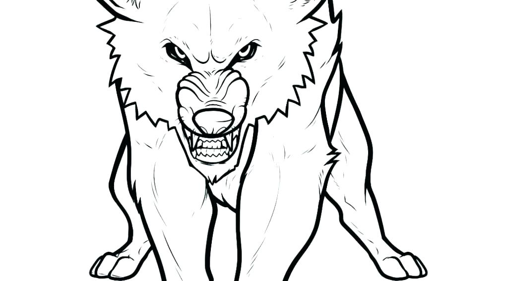 1024x568 Arctic Wolf Coloring Pages Anime Printable Page For Realistic