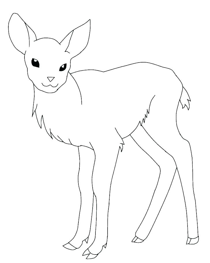 728x908 White Tailed Deer Coloring Page Whitetail Deer Coloring Pages Baby