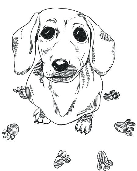 450x559 Dachshund Printable Coloring Pages Heaven Wiener Dog Coloring
