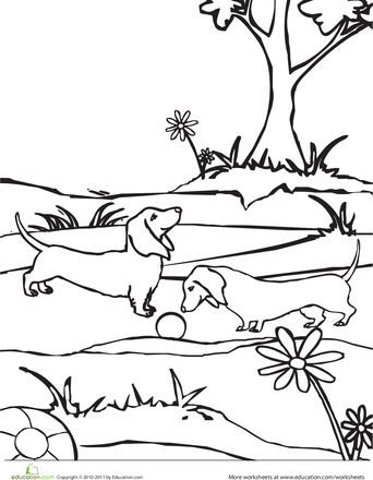 342x440 Color The Dachshund Dogs Dachshund Dog, Dachshunds And Dog