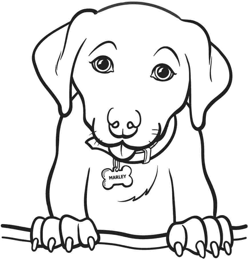 867x910 Coloring Page Of A Dog