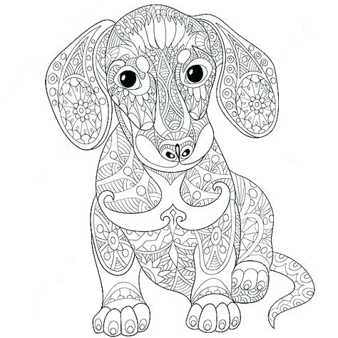474x474 Weiner Dog Coloring Pages Weiner Dog Coloring Pictures