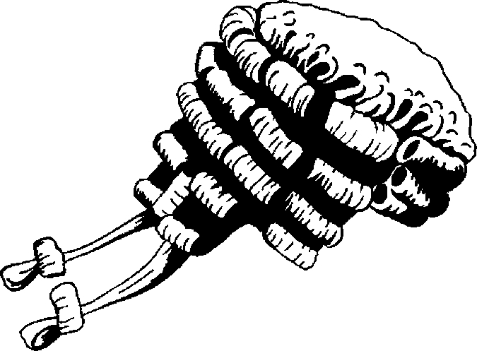 675x497 Judicial Wig Coloring Page