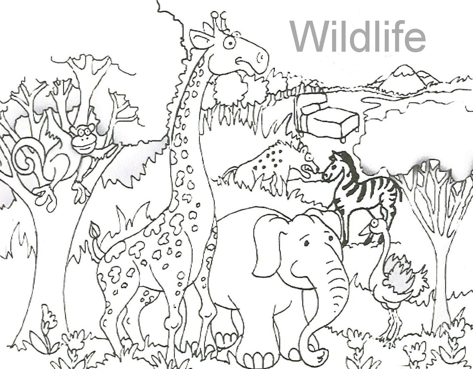 1645x1285 Modern Decoration Wild Animal Coloring Pages Page God Created
