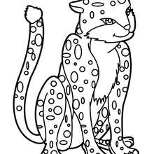 220x220 Wild Animal Coloring Pages