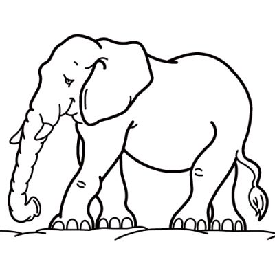 400x400 Wild Animal Coloring Pages Printable
