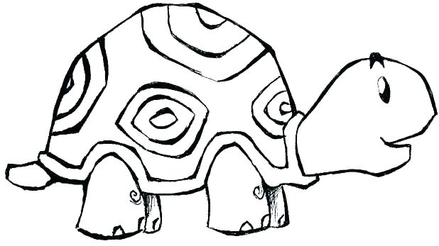618x347 Animal Coloring Pages For Adults Also Cool Animal Coloring Pages