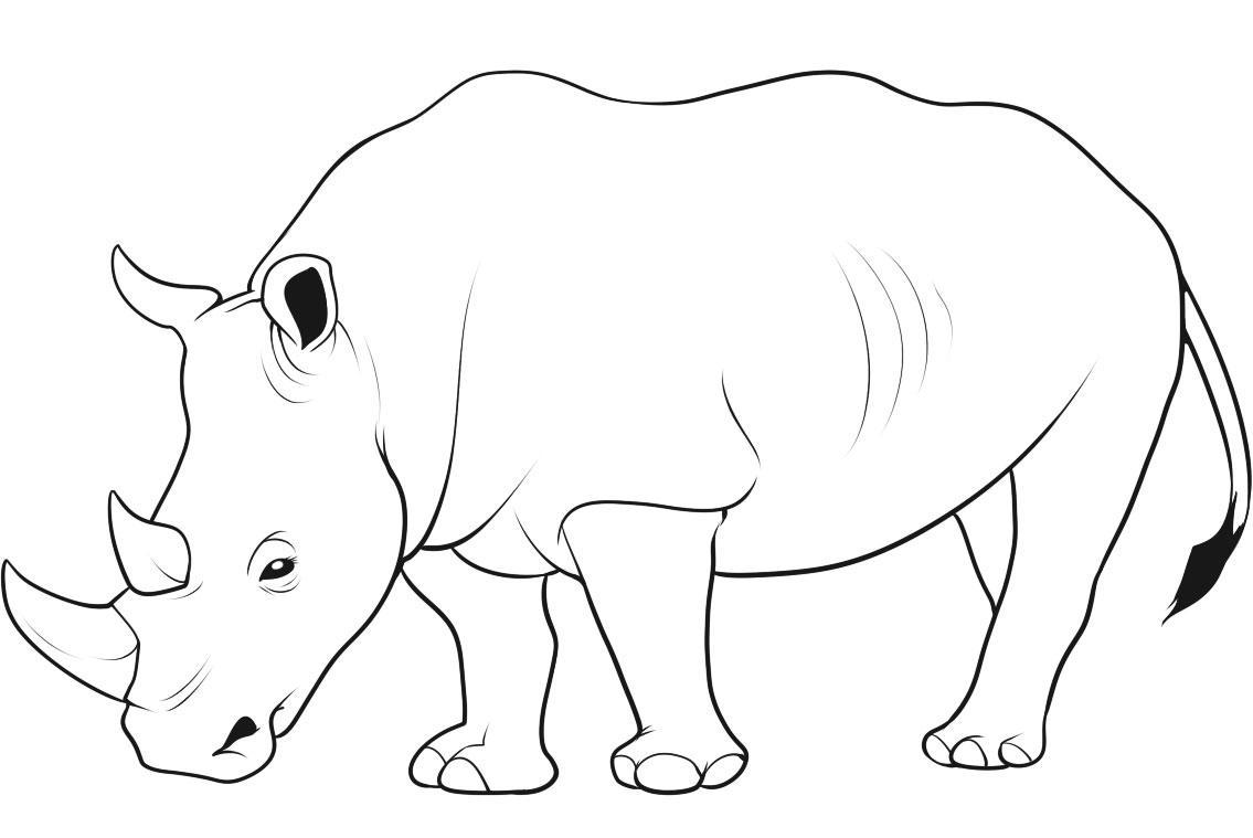 1135x759 Tetra Animal Coloring Pages Wild Coloring Pages Wild Wild Animal