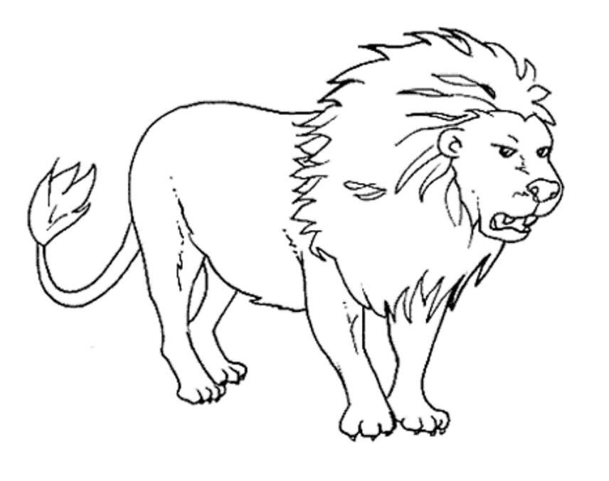 856x677 Wild Animal Coloring Pages For Adults Coloring Page Zone