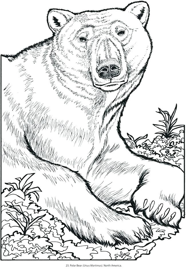 650x945 Animal Coloring Book Pages Wild Animals Coloring Book Also