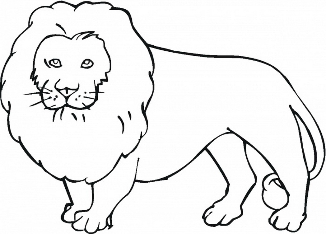 1048x752 Astonishing Decoration Wild Animal Coloring Pages Fine Indicates