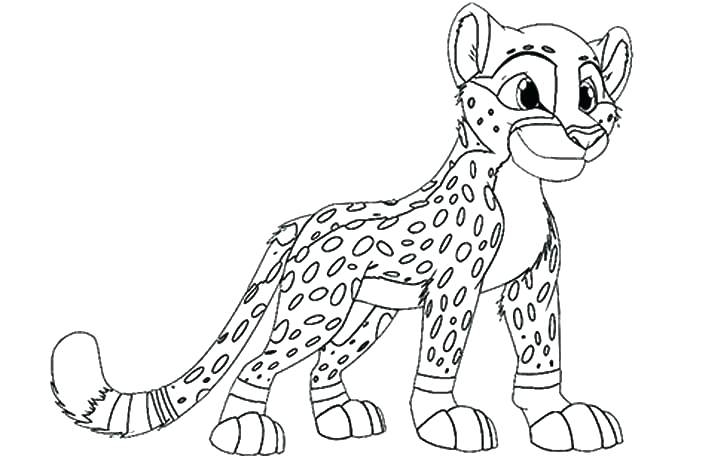 720x460 Cheetah Coloring Pages To Print Wild Animal Coloring Pages Print
