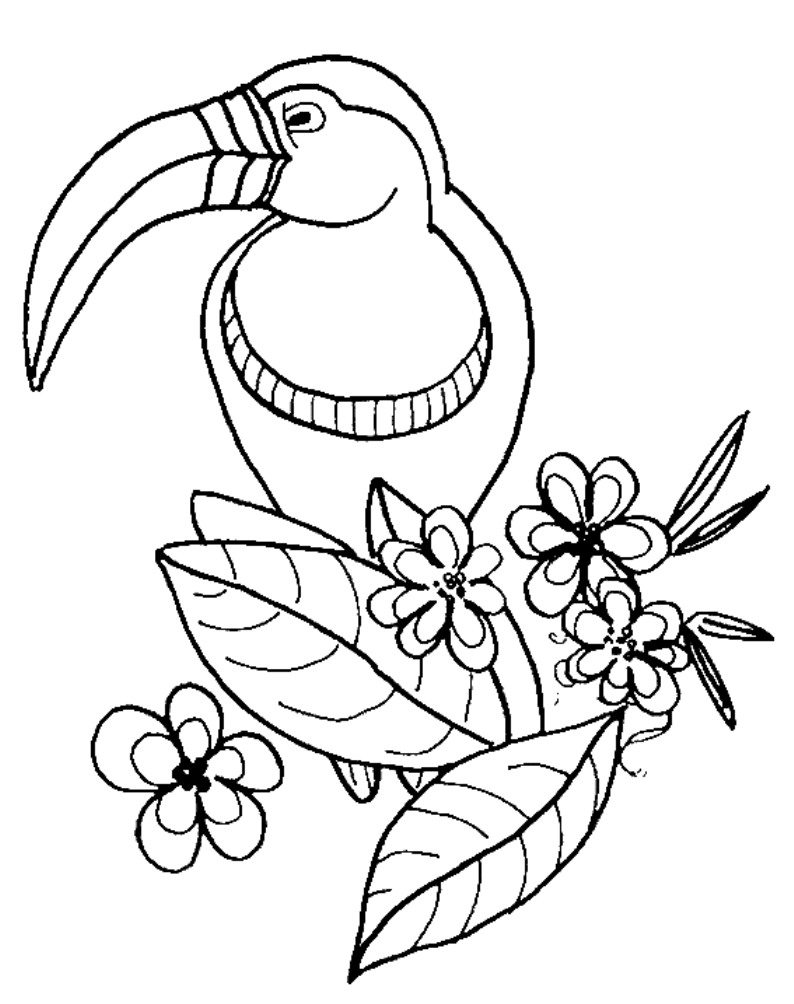794x1004 Zoo Animals Coloring Pages