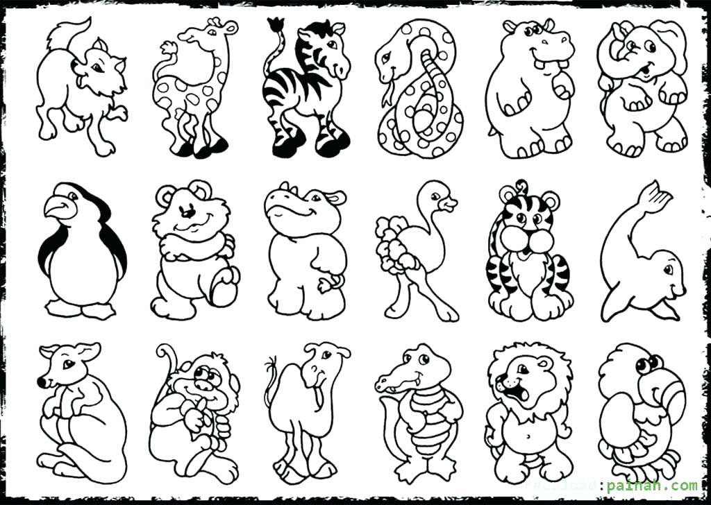 1024x728 Wild Animal Coloring Pages Wild Animal Coloring Pages Wild Boar