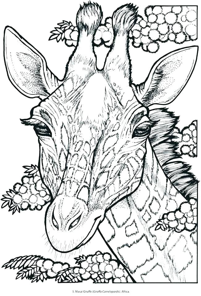 650x956 Bedroom Coloring Pages Bed Coloring Pages Coloring Pages Monkeys