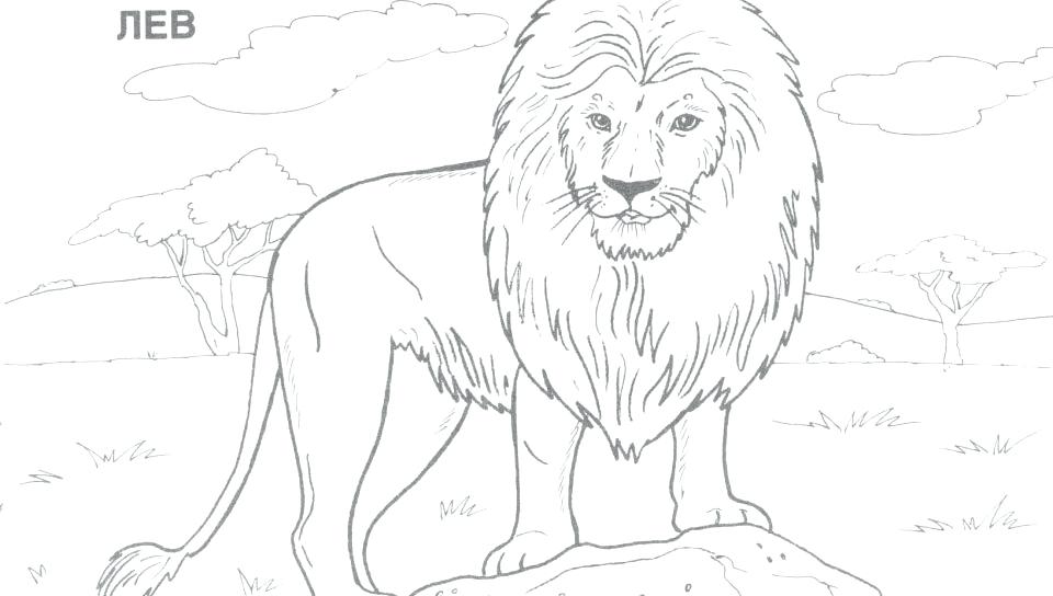 960x544 Wild Animal Coloring Pages Wild Boar Coloring Coloring Page Wild