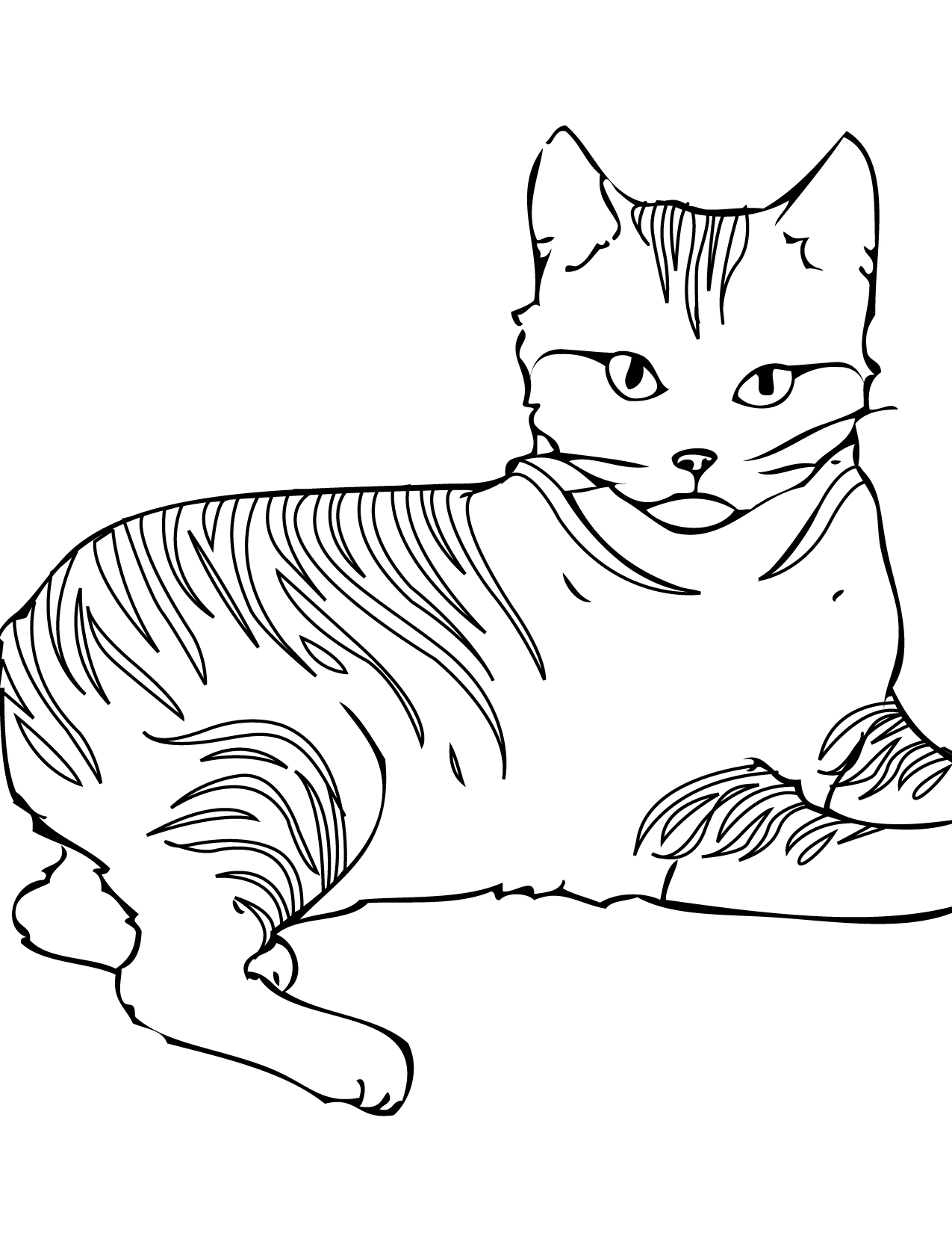Wild Cat Coloring Pages