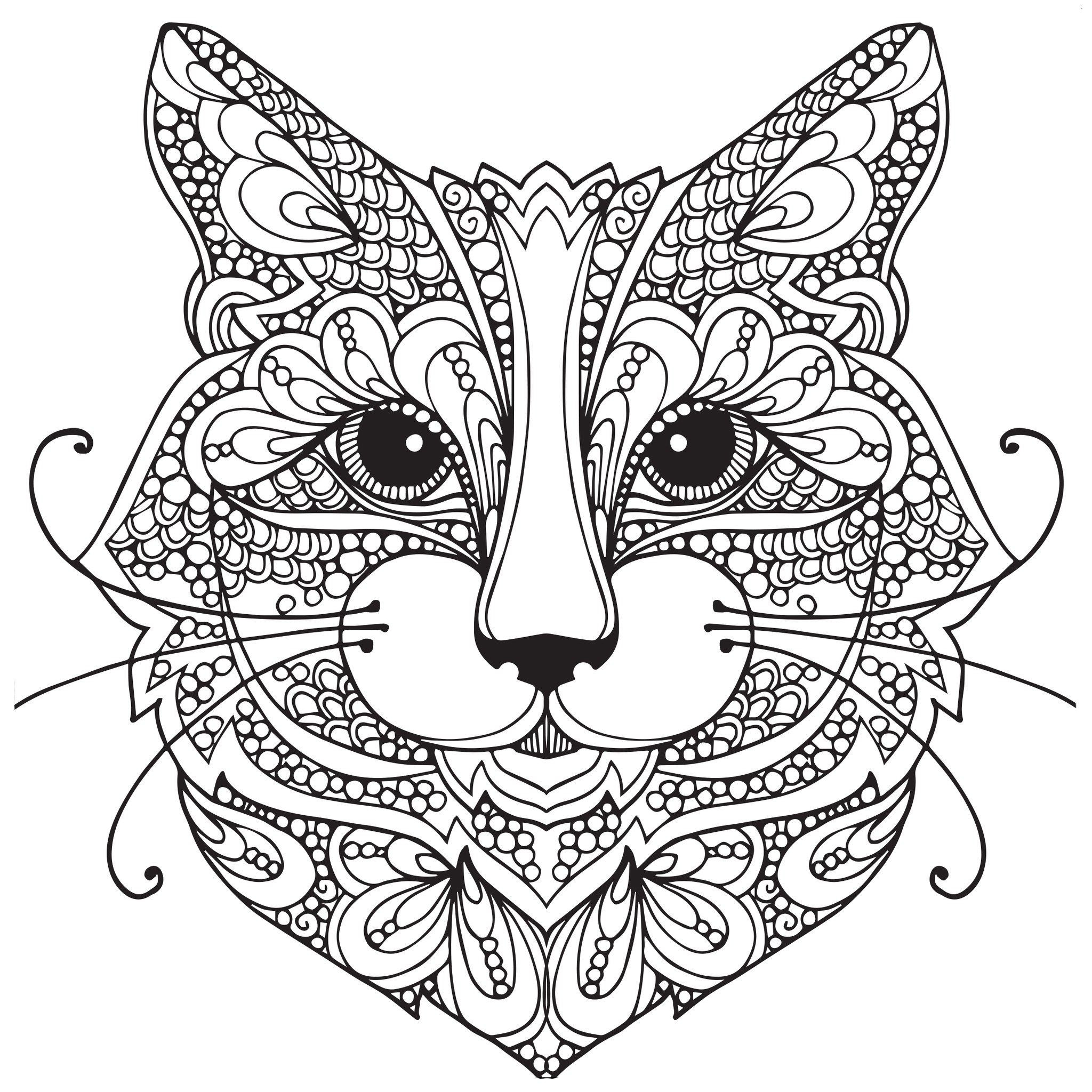 2048x2048 European Wild Cat Coloring Page Cats Pages Animals Extraordinary