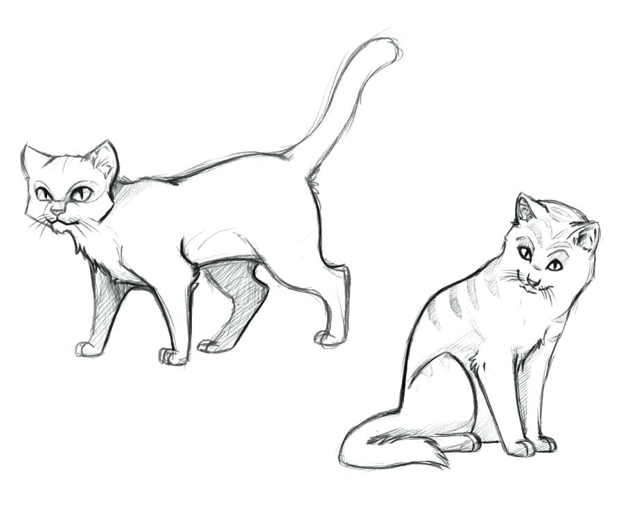 909x761 Realistic Cat Coloring Pages Wild Cat Coloring Pages Cool Coloring