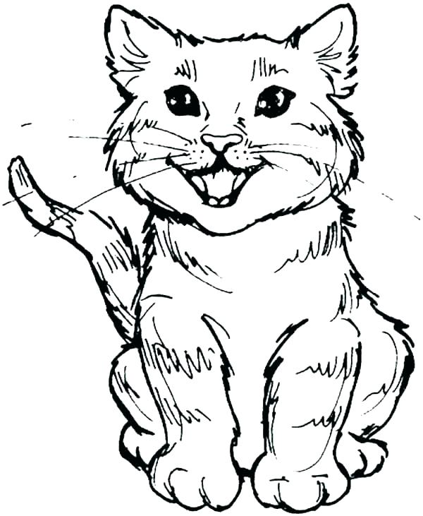 600x731 Realistic Wild Cat Coloring Pages Page X Printable Of A Cute Kitty