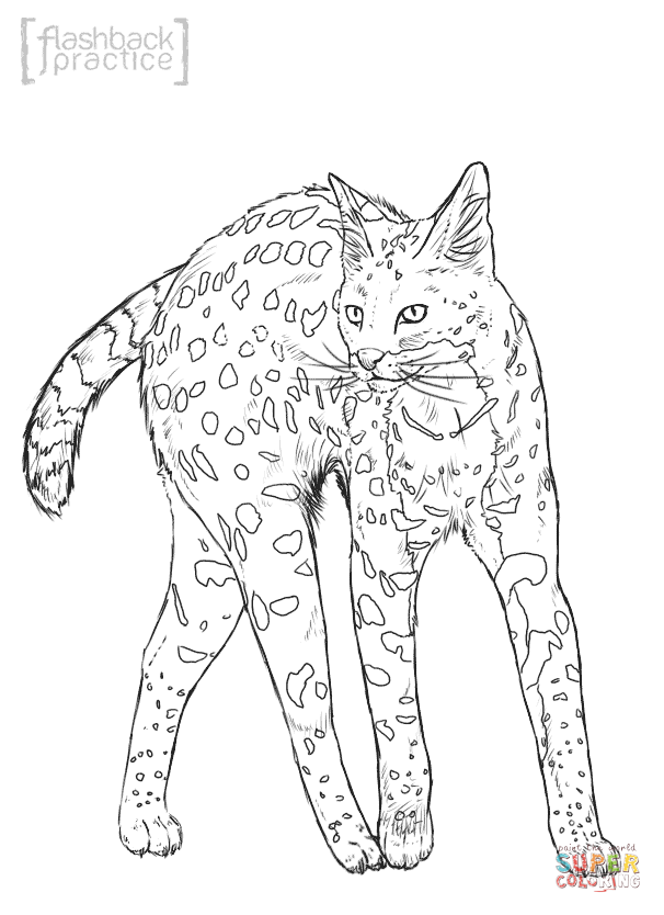 606x834 Wild Cats Coloring Pages 2802610