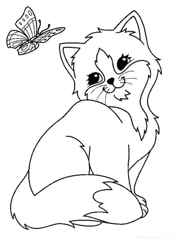 590x800 Wild Cats Coloring Pages Wildcat Coloring Page Wildcat Coloring