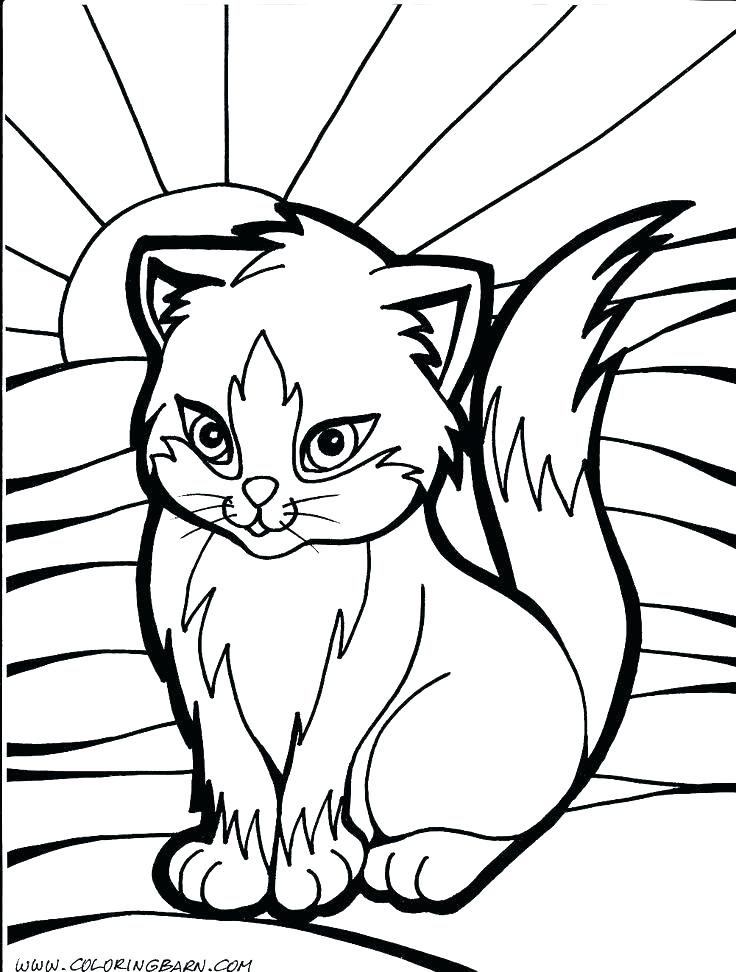 736x972 Wildcat Coloring Page I Love You Baby Coloring Pages Wildcat Page