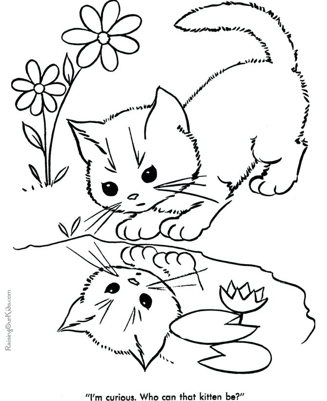 670x820 Coloring Wild Cats Coloring Pages Cat 3 Best Colors Ideas