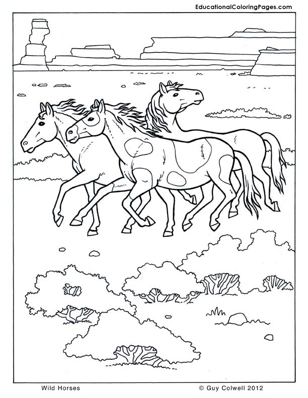612x792 Wild Horses Coloring Pages
