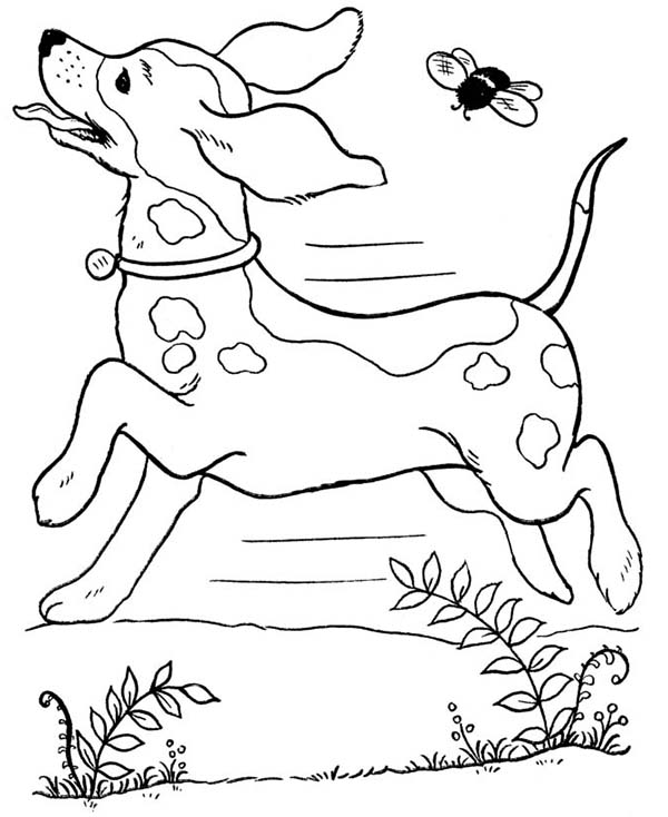 600x734 Free Printable Coloring Pages