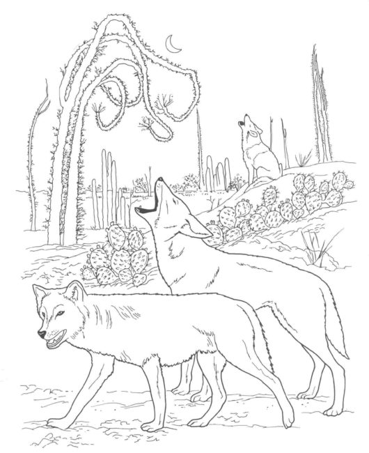 530x650 Wild Dog Coloring Pages 5 Nice Coloring Pages For Kids