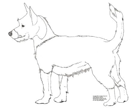 445x360 Wild Dogs Coloring Pages Download Coloring Pages