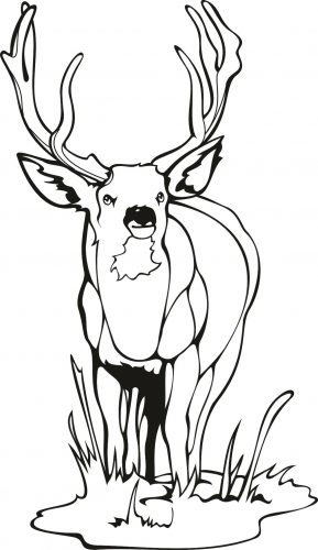 289x500 Coloring Pages ~ Hunting Coloring Pages Mammals Wild Dog