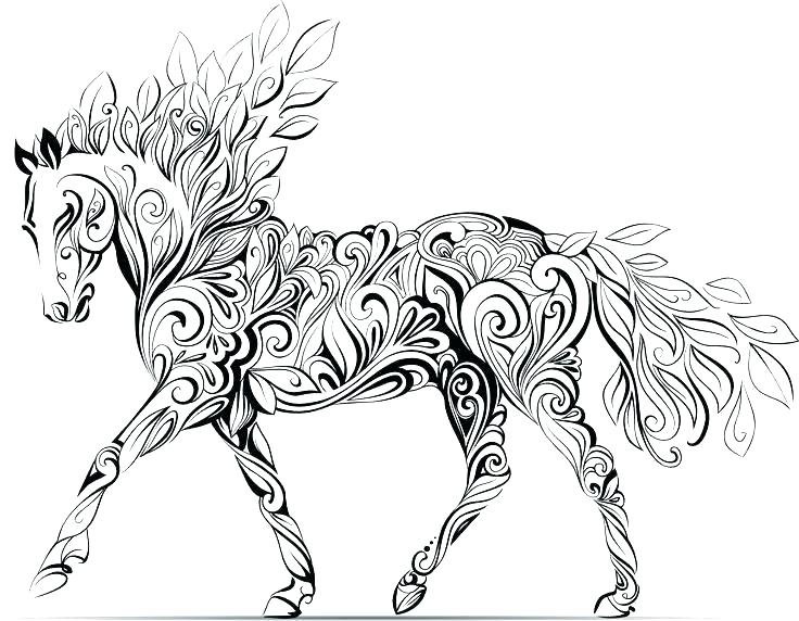 736x572 Seahorse Coloring Page For Kids