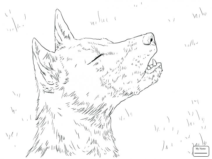 728x546 Coloring Pages Dogs Pictures Of Dalmatian Free Printable Dog