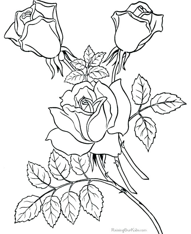670x820 Coloring Book Flowers Flowers Birds Coloring Book Review Free
