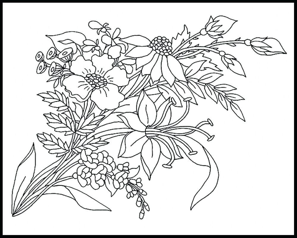 1000x800 Coloring Pages Of Meadow Flowers 17 T Wildflowers Page 11 Wild
