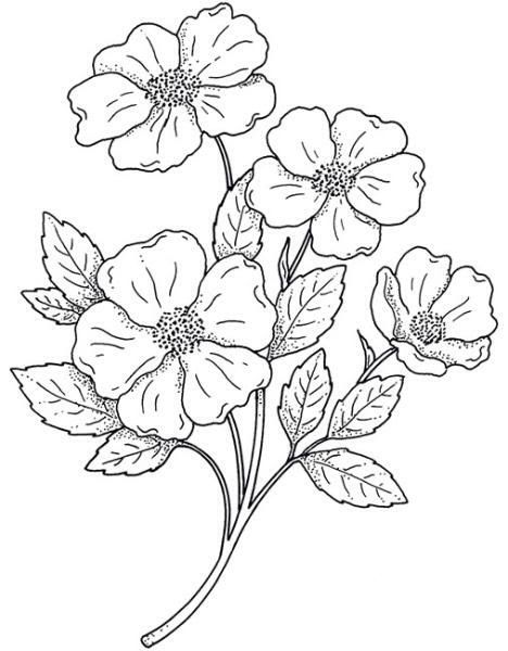 468x600 Pin By Solane Maria On Risco Embroidery, Flowers