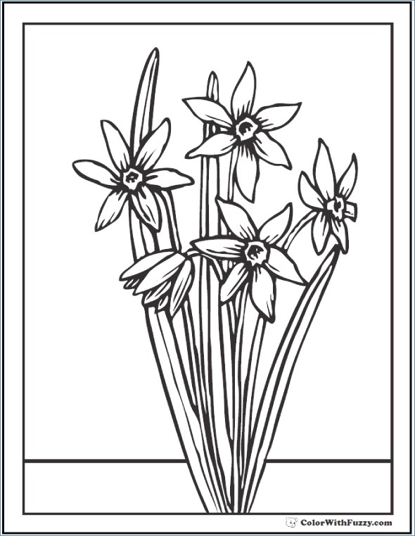 590x762 Rose Flower Coloring Pages Kids