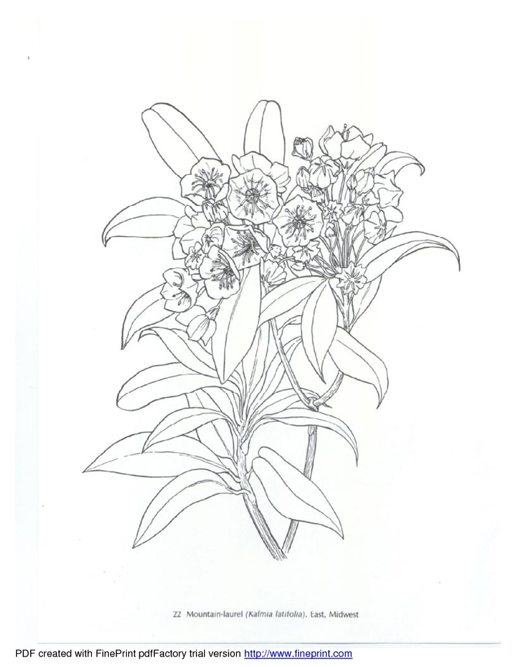 736x952 89 Best Printable Flower Pages Images On Embroidery