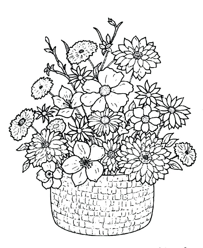 792x967 Wildflower Coloring Pages Coloring Pages Wildflower Coloring Book